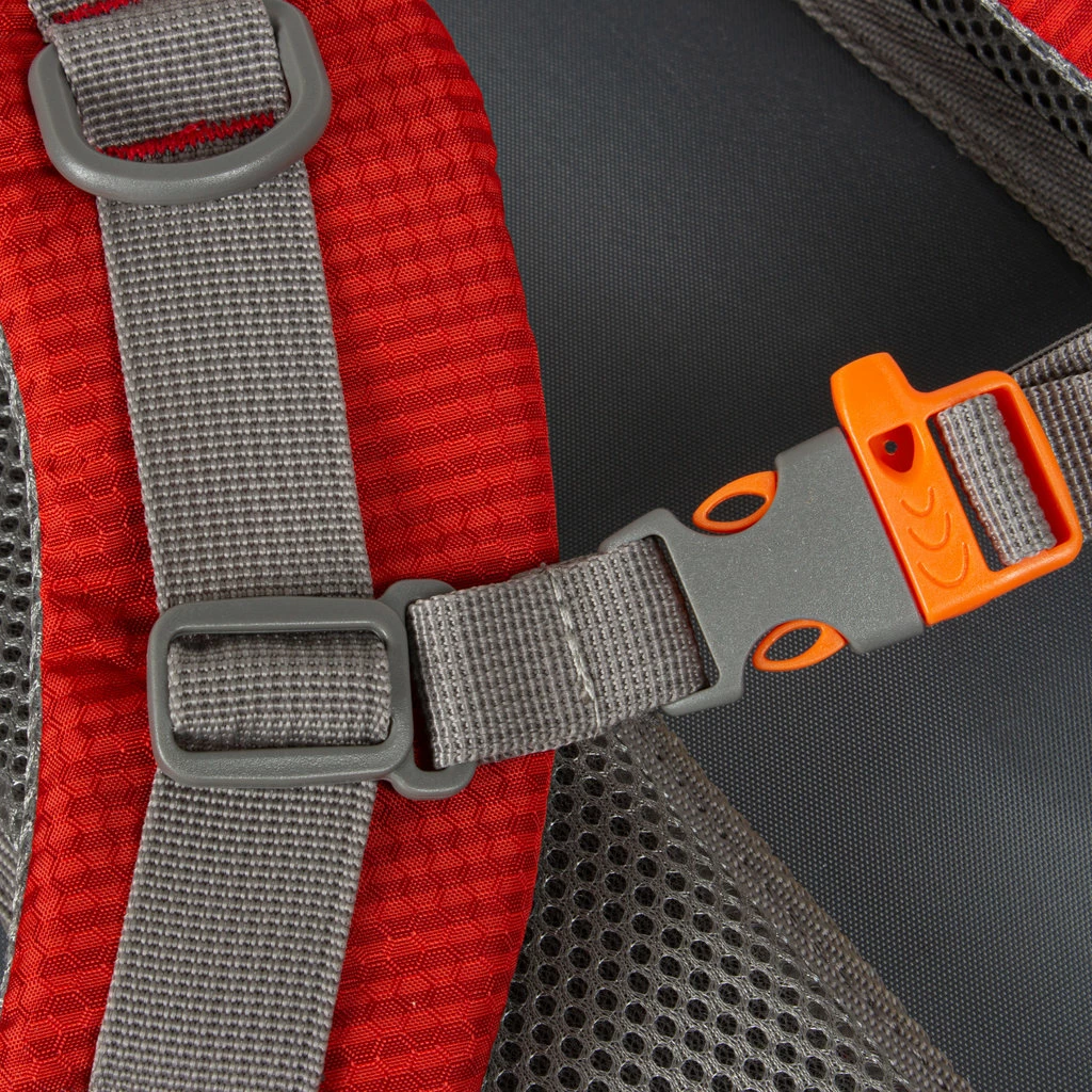 New Rebels ® Kinley - Rugtas - Schooltas - Vrijetijdstas - 35 Liter - Nylon - Rood 9 New Rebels ® Kinley - Rugtas - Schooltas - Vrijetijdstas - 35 Liter - Nylon - Rood - Afbeelding 7