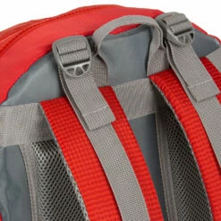 New Rebels ® Kinley - Rugtas - Schooltas - Vrijetijdstas - 35 Liter - Nylon - Rood 17 New Rebels ® Kinley - Rugtas - Schooltas - Vrijetijdstas - 35 Liter - Nylon - Rood -reis winkel new rebels kinley rugtas schooltas vrijetijdstas 3 21